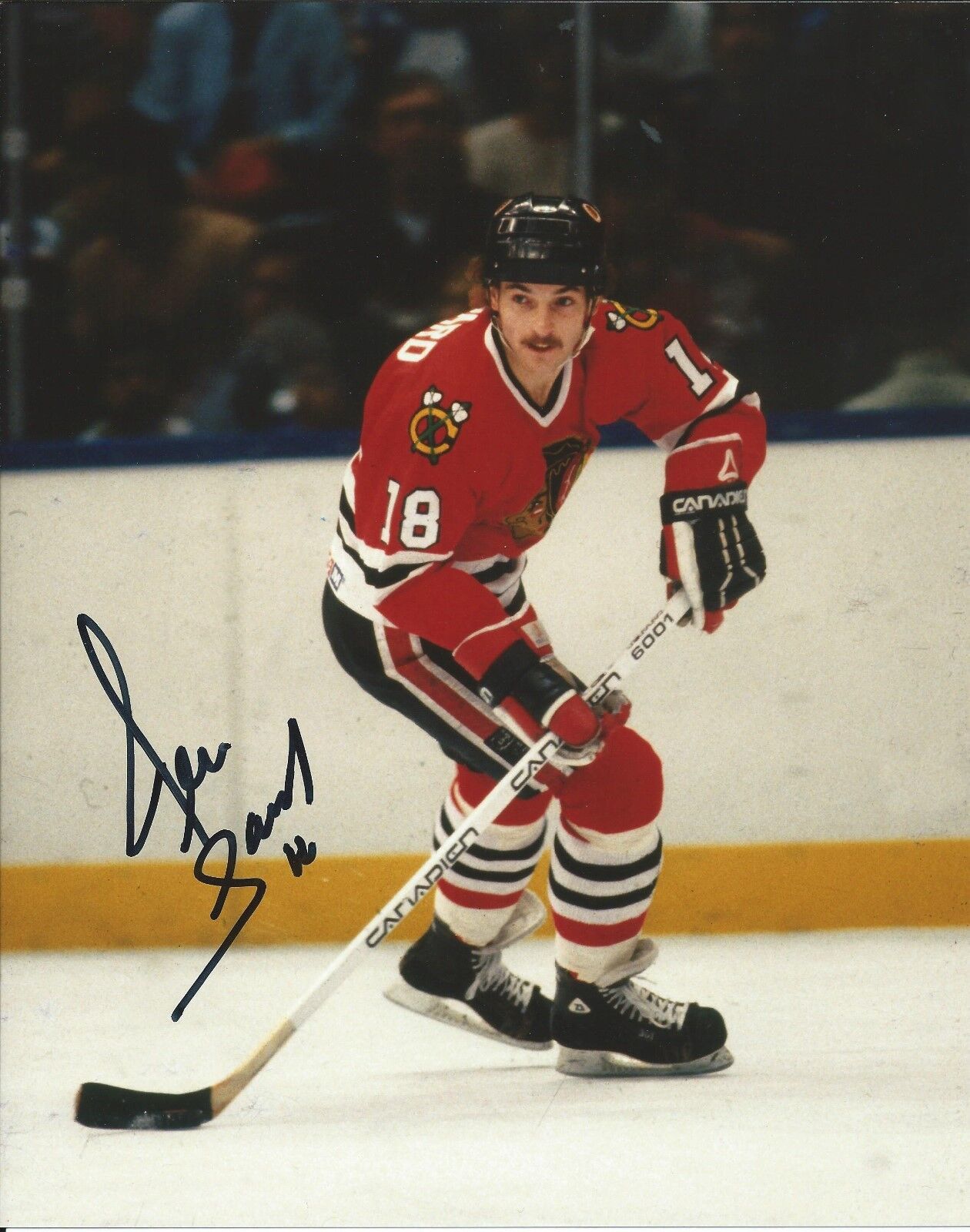 DENIS SAVARD signed autographed CHICAGO BLACKHAWKS 8x10 Photo Poster painting HOF