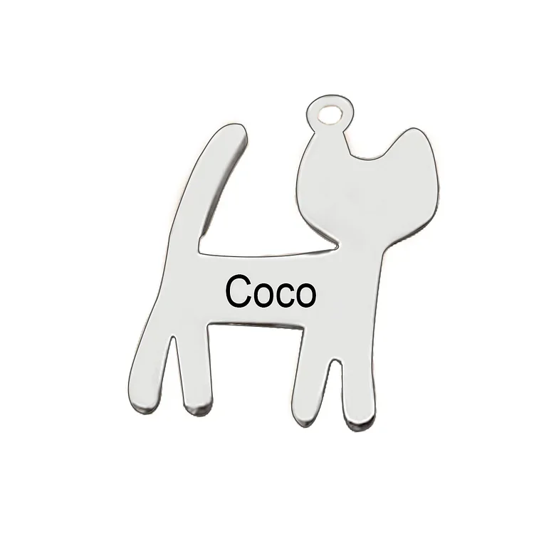 Accesorios Charms mascota 1 nombre personalizado apto para llavero