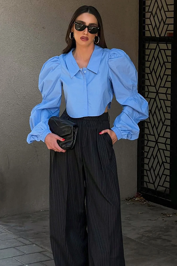 Turndown Collar Button Up Balloon Sleeve Crop Blouse
