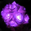 Guirlande lumineuse LED roses