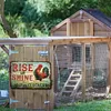 Chickens - Vintage Metal Signs(12*8Inch) - Chicken