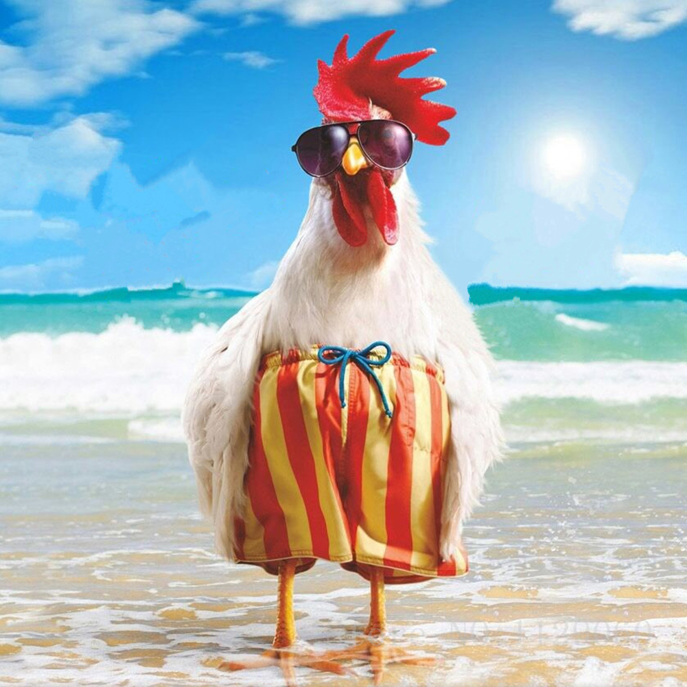 

30*30CM - Round Drill Diamond Painting - Beach Rooster, 501 Original