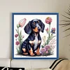 Dachshund - 11CT Stamped Cross Stitch - 40*40cm - Dog
