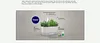 Heirloom Salad Vegetables Greens Mix Seed Pod Kit
