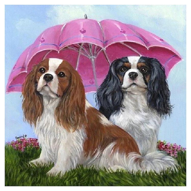 Umbrella Dogs Animal  Full Round Diamond Painting 40*40CM