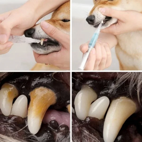 Posryst™Natural Plant Substance - Pet Teeth Repairing Kit