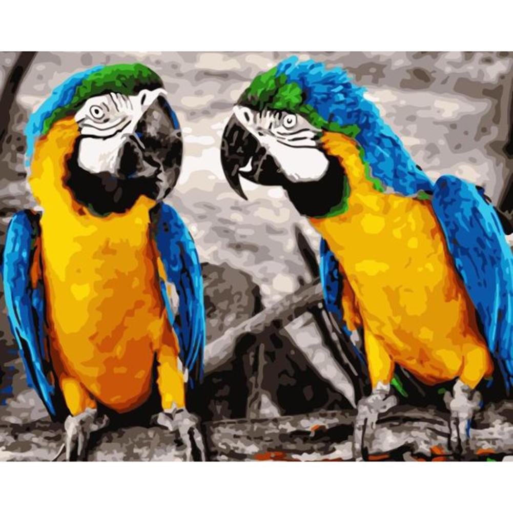 

51x41cm Round Drill Diamond Painting-Parrot, 501 Original
