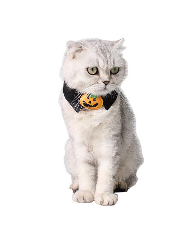 Halloween dog collars Pumpkin Cat Collar Tie-elleschic