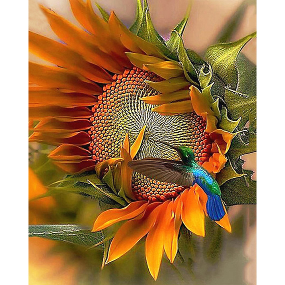Hummingbird And Sunflower-Paint by Numbers-30*40cm/40*50cm
