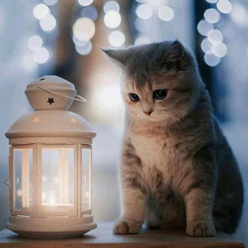 

Lantern Cat - Round Drill Diamond Painting - 40*40CM, 501 Original