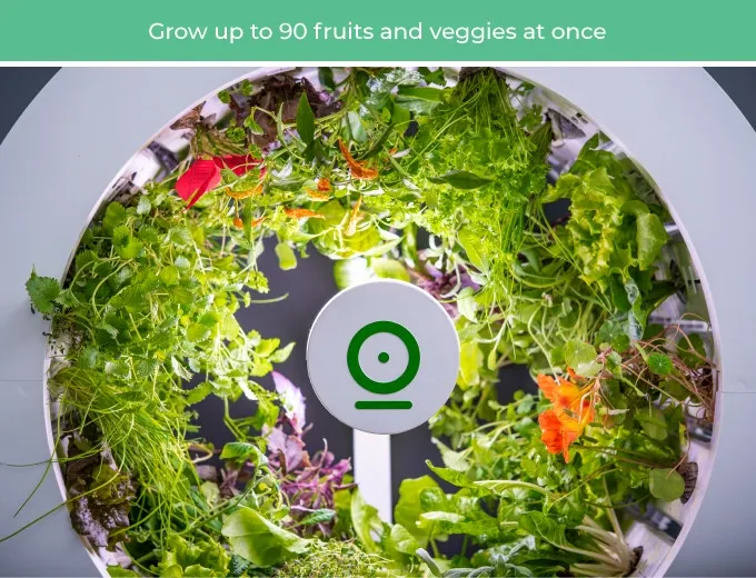 GROW AN INDOOR GARDEN OF 90 FRUITS & VEGGIES