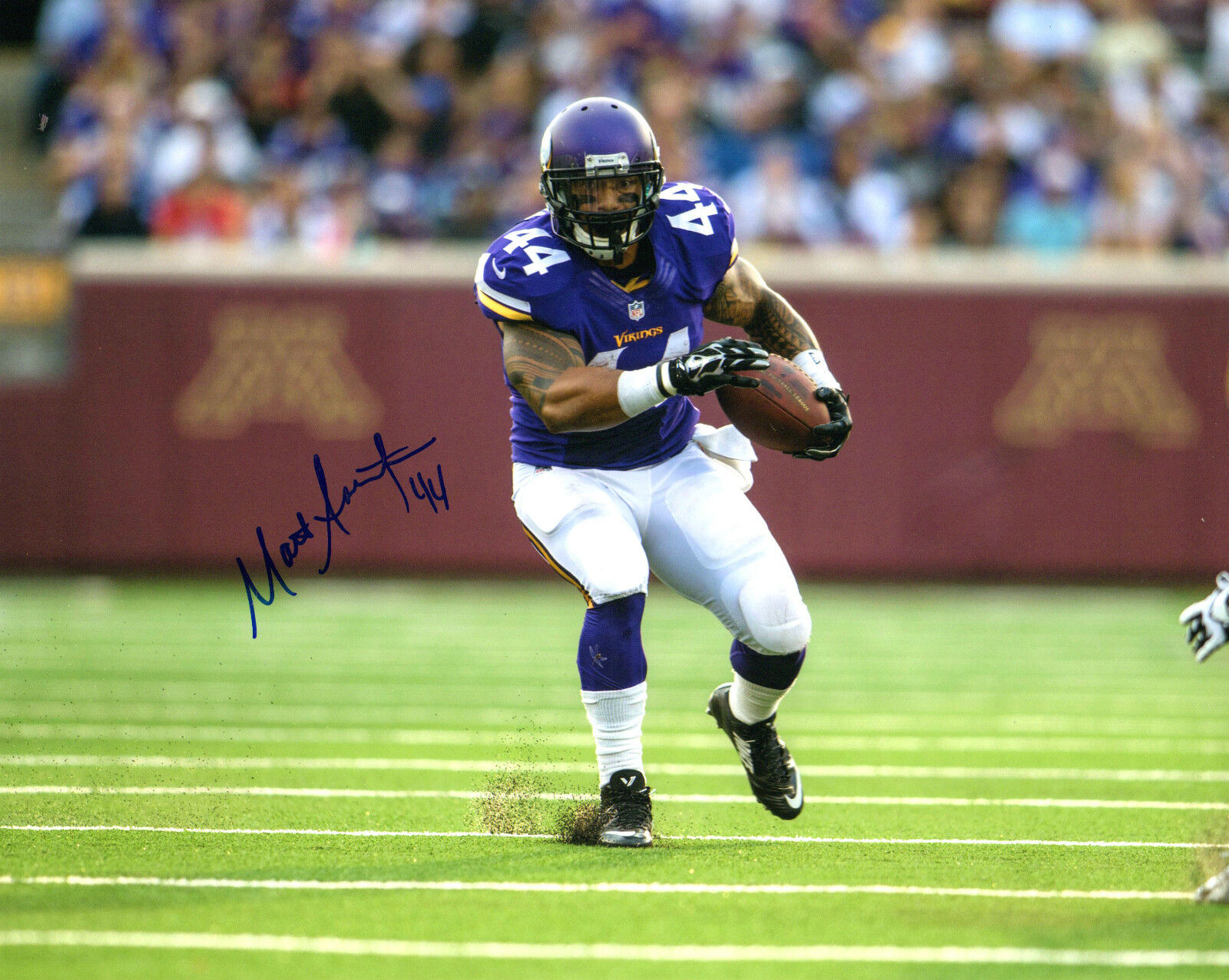 GFA Minnesota Vikings * MATT ASIATA * Signed 8x10 Photo Poster painting AD1 COA