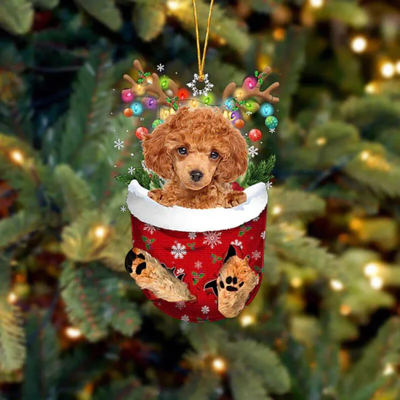 VigorDaily Toy Poodle In Snow Pocket Christmas Ornament SP268