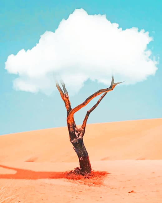 

Cloud Tree – Paint By Numbers - 40*50CM, 501 Original