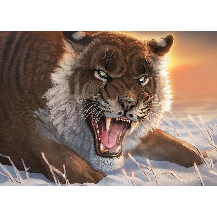 Tiger - Full Round Drill Diamond Painting - 40x30cm(Canvas)