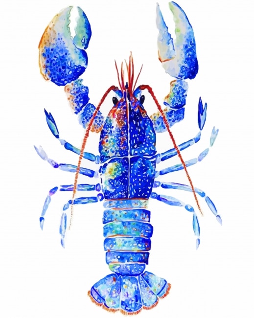 

Blue Lobster Art – Paint By Numbers - 40*50CM, 501 Original