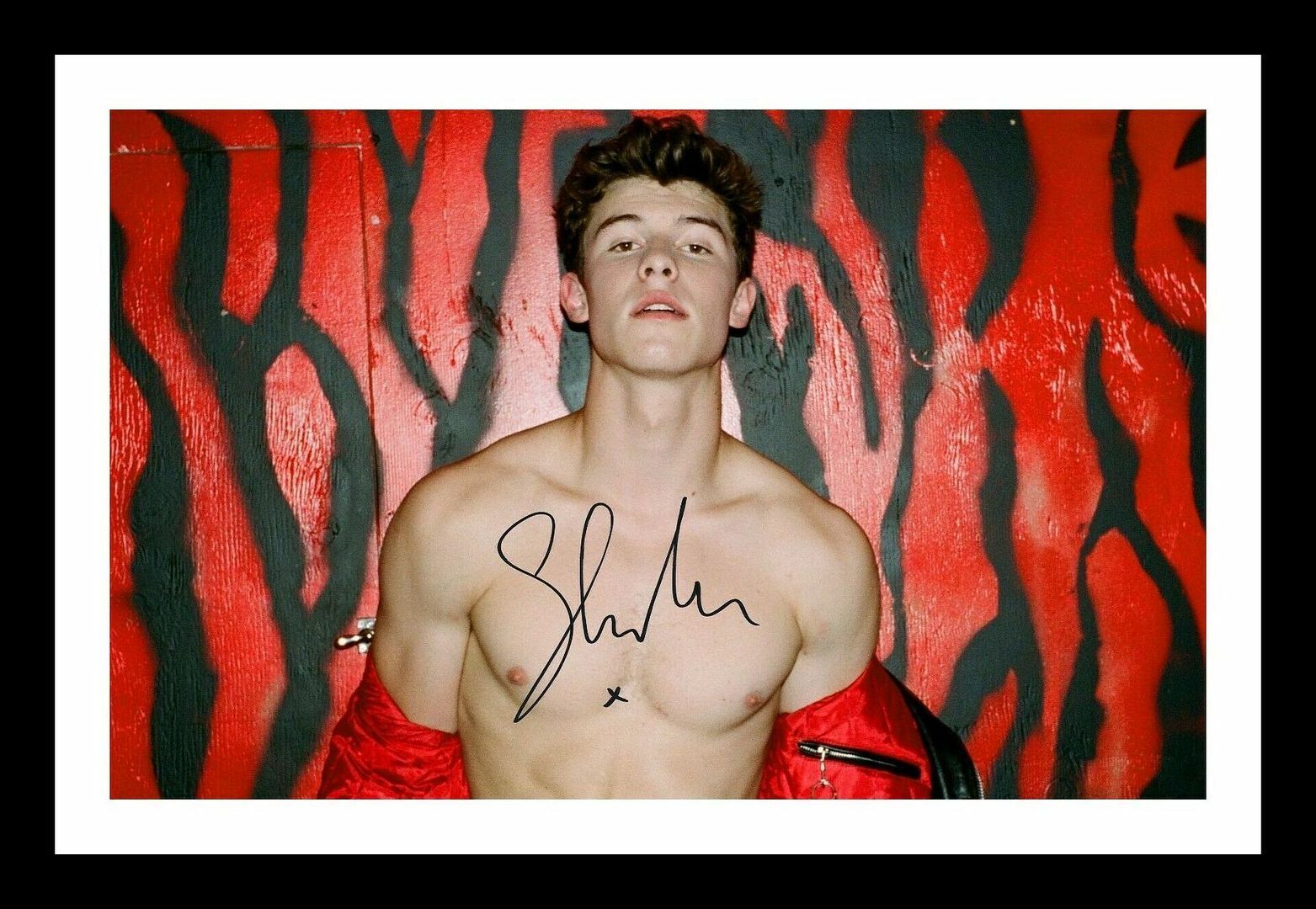 Shawn Mendes Autograph Signed & Framed Photo Poster painting 9