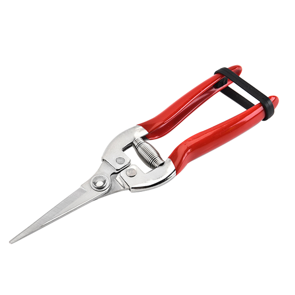 

Gardening Scissors Grafting Tool Non-slip Handle Fruit Tree Pruning Shears, Cocked head, 501 Original