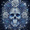 Partial Drill 5D Diamond Painting Kit Skull Abstract 30x30cm(Blue Skull)