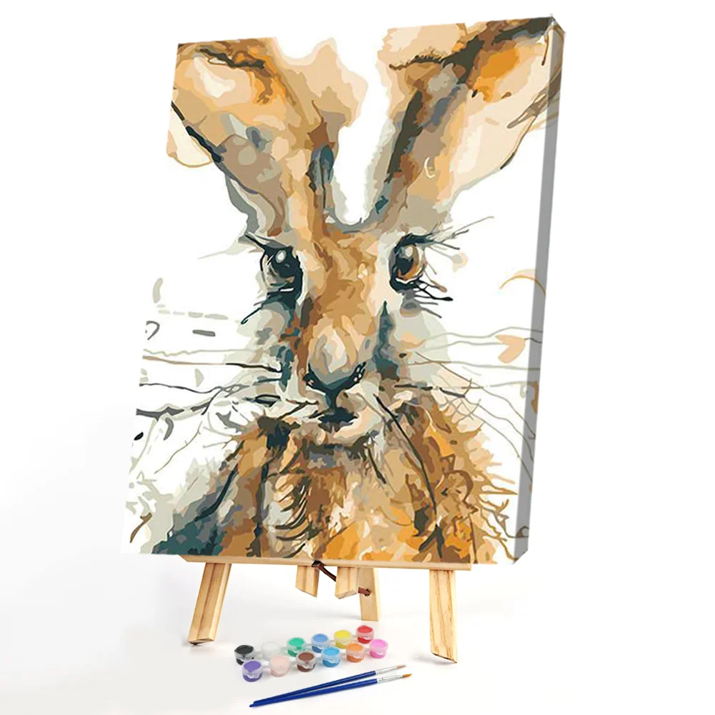 Rabbit
 - Paint By Numbers(50*40CM)
