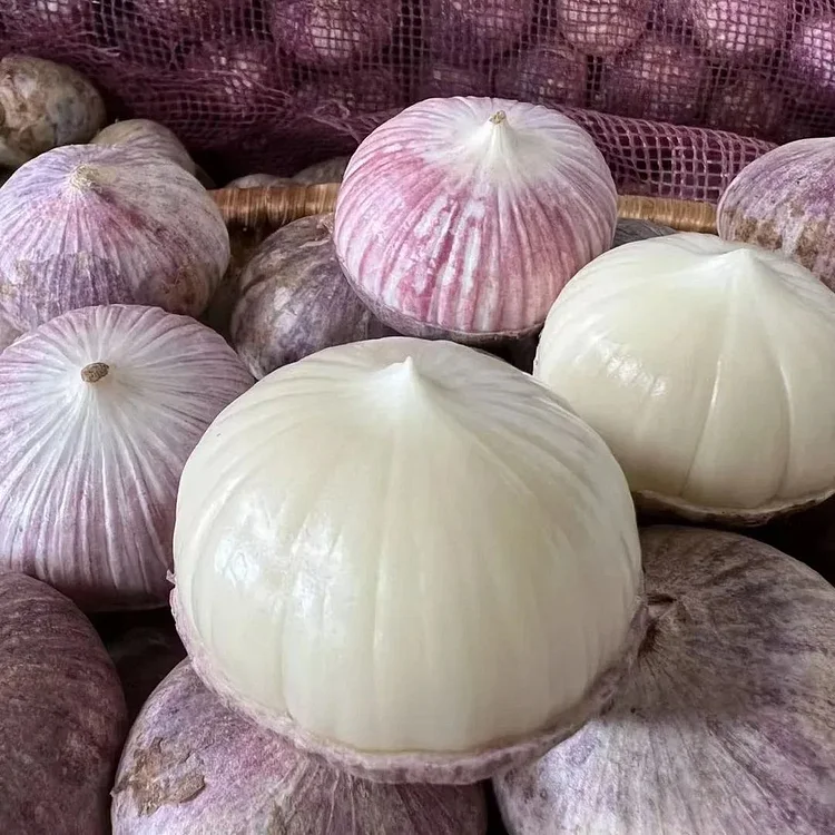 🧄Single Clove Garlic: Bold Flavor, Healthy Choice!