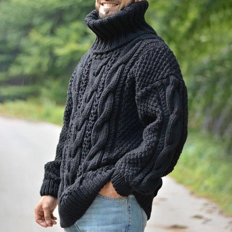 Plain Turtleneck Standard Casual Men's Sweater