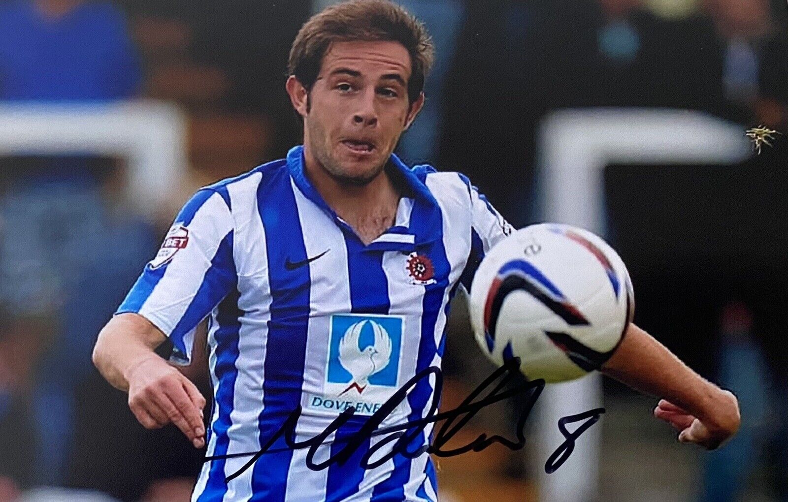 Matthew Dolan Genuine Hand Signed Hartlepool United 6X4 Photo Poster painting