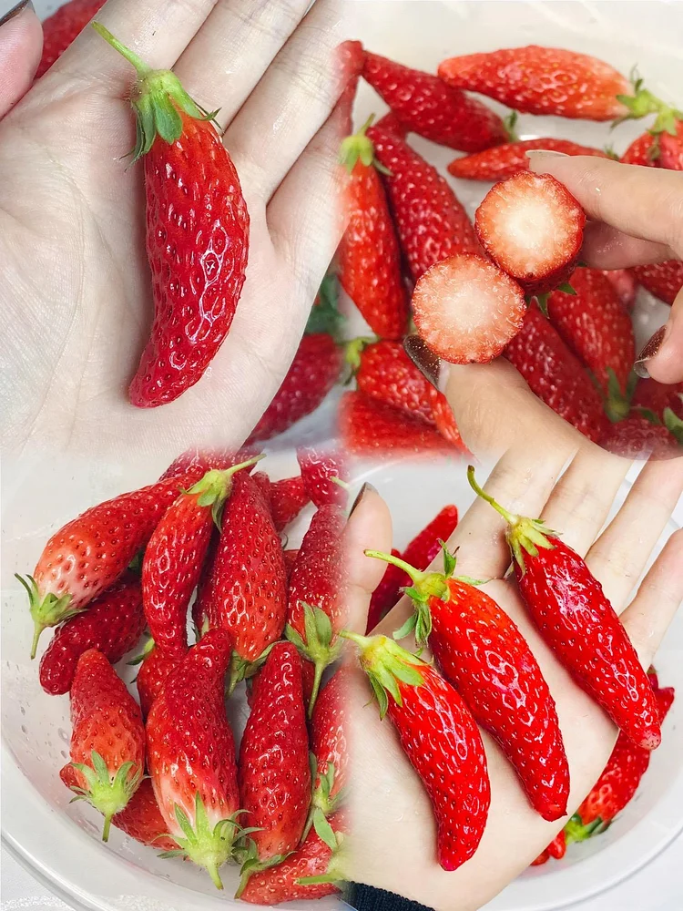 🍌🍓Banana Strawberry Seeds