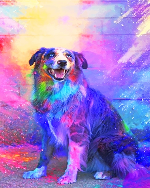 

Colorful Dog – Paint By Numbers - 40*50CM, 501 Original