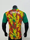 2025/2026 Player Version Senegal Training Uniform Football Jersey 1:1 Thai Quality