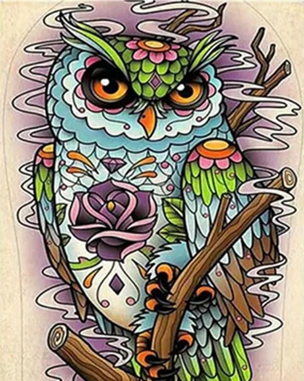 

Colorful Owl – Paint By Numbers - 40*50CM, 501 Original