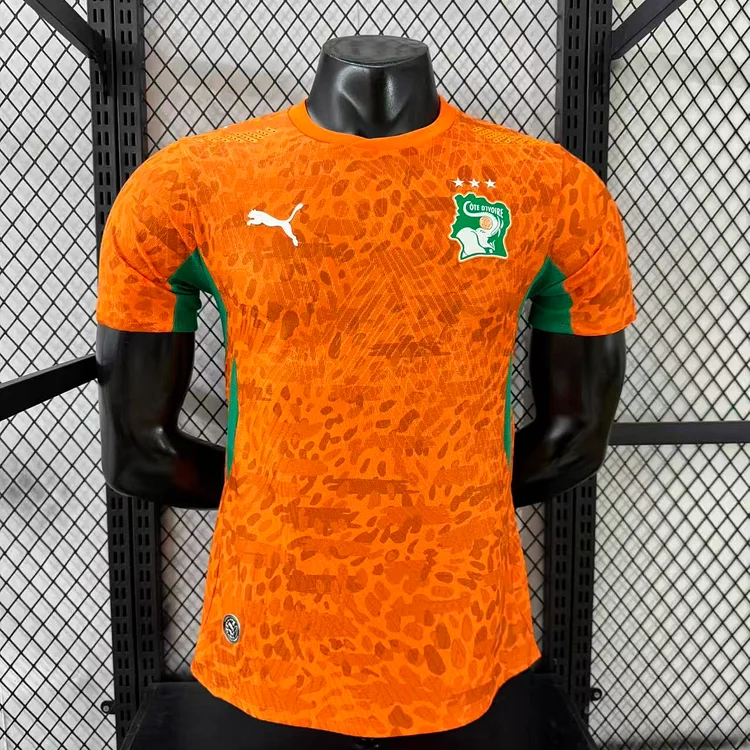 2026 Ivory Coast World Cup Home Players