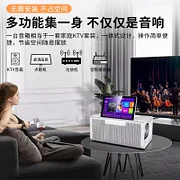 Blume 智慧屏音响一体点歌机送话筒一体机家用KTV卡拉OK点唱机 白色-Digicat 猫电澳洲