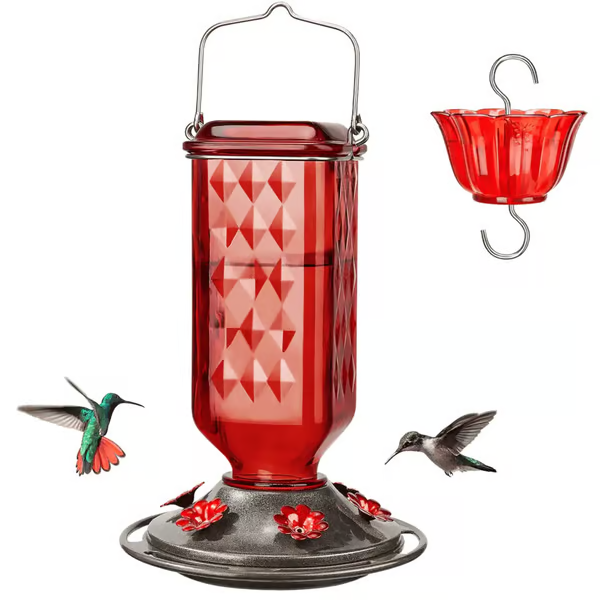 Hummingbird Feeder with Ant Moat
