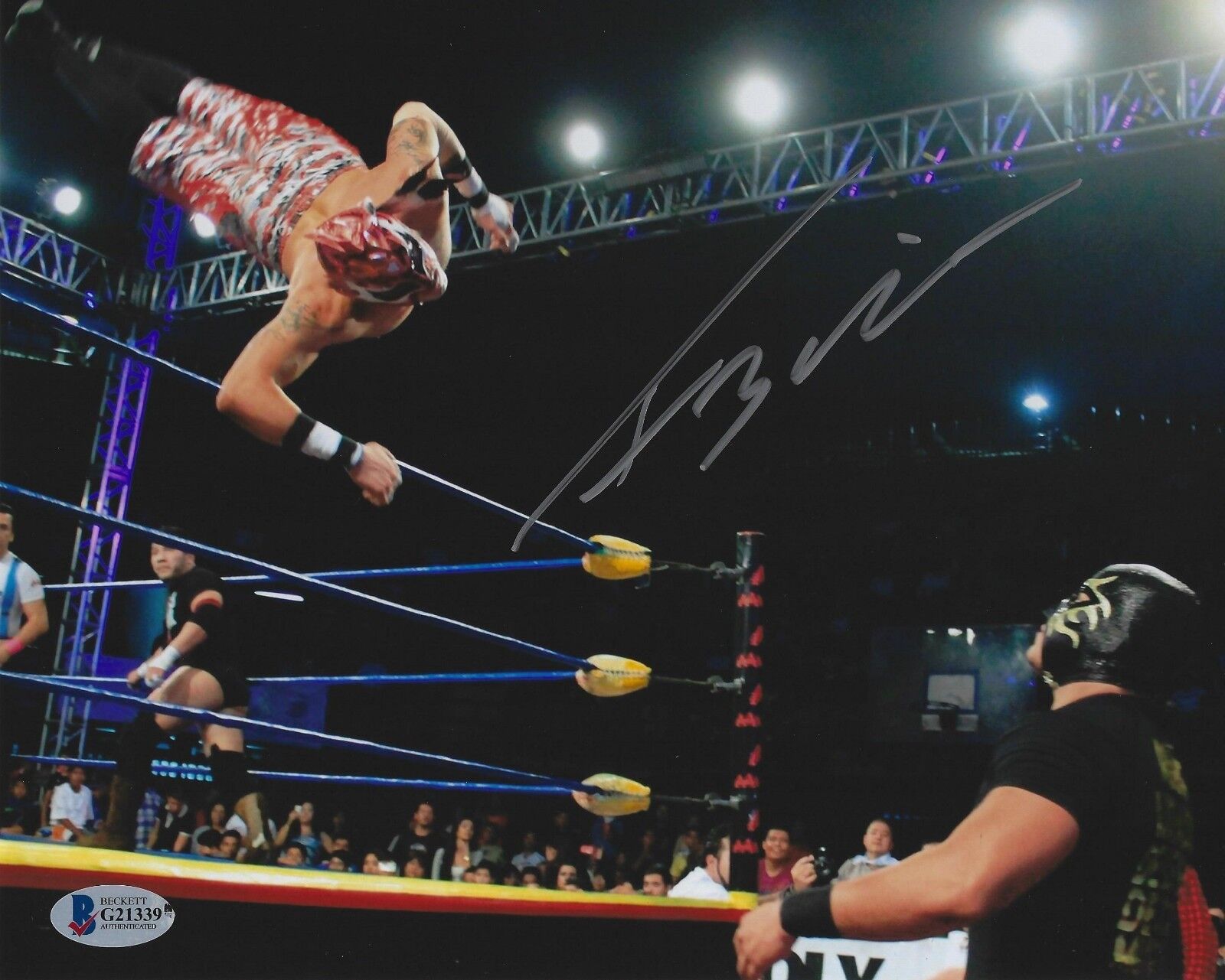 Rey Fenix Signed 8x10 Photo Poster painting BAS COA Lucha Underground Impact Wrestling All In 5