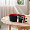 FM Radio LED Digital Display Support TF Card MP3 Player USB Drive Portable Radio