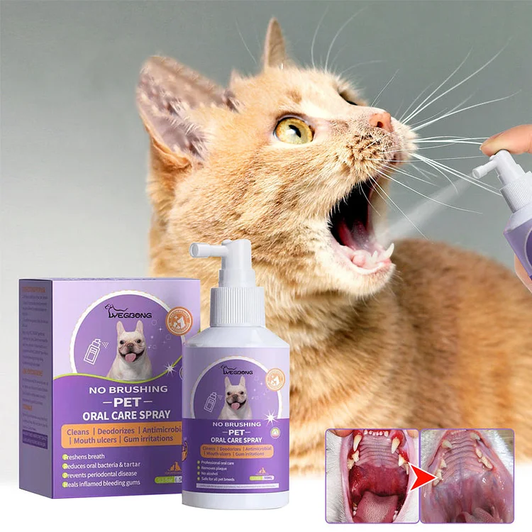 Teeth Cleaning Spray for Dogs & Cats | 168DEAL