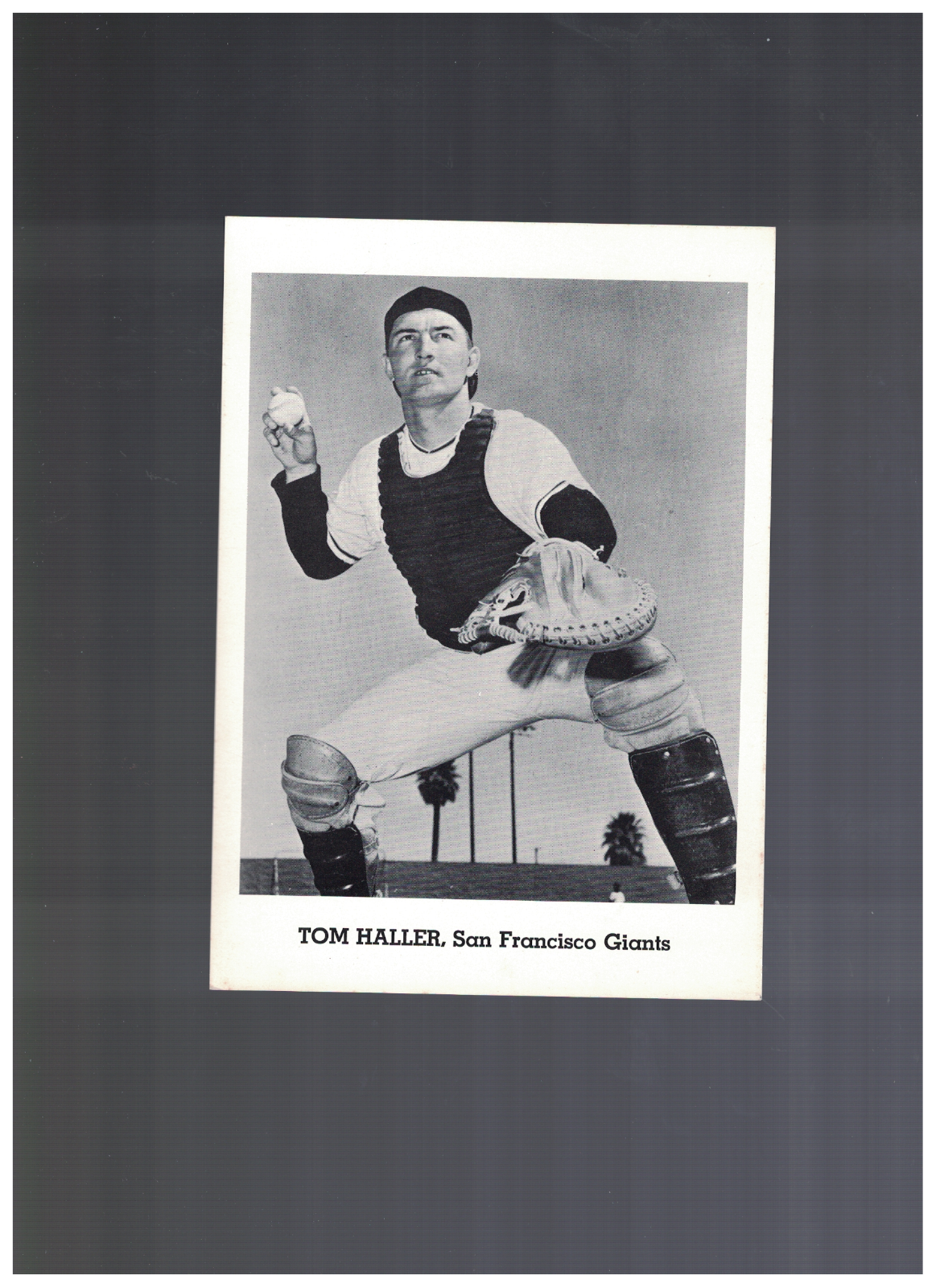 1960's Tom Haller San Francisco Giants 5x7 Picture Pack Photo Poster painting