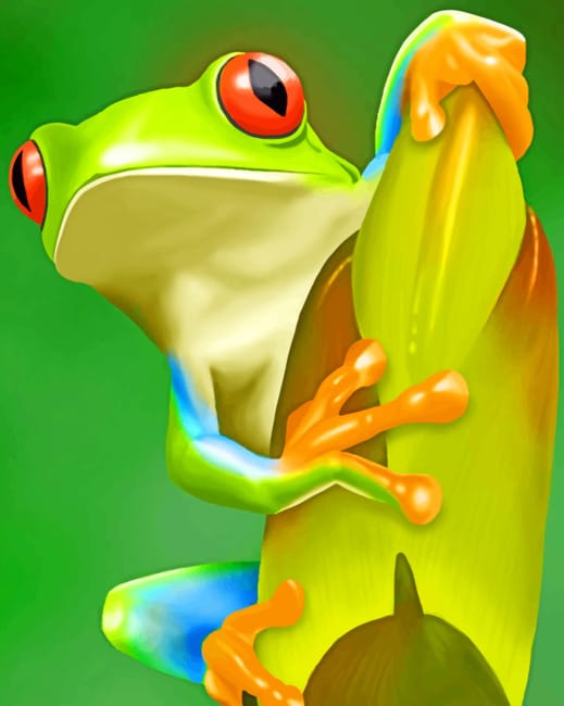 

Green Frog – Paint By Numbers - 40*50CM, 501 Original