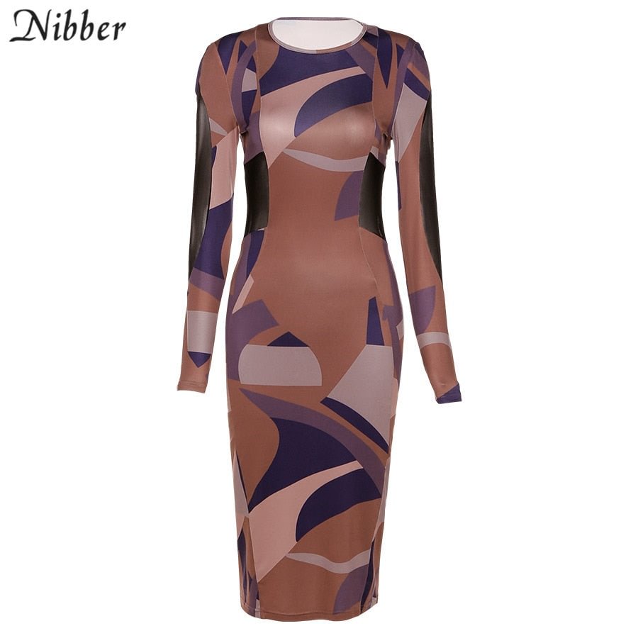 Nibber Basic Round Neck Patchwork printing Bodycon Midi Dresses For Women 2021 Autumn Streetwear Party Night Long Sleeve Dresses