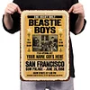 Beastie Boys - Vintage Metal Signs - 20*30cm/30*40cm - Music