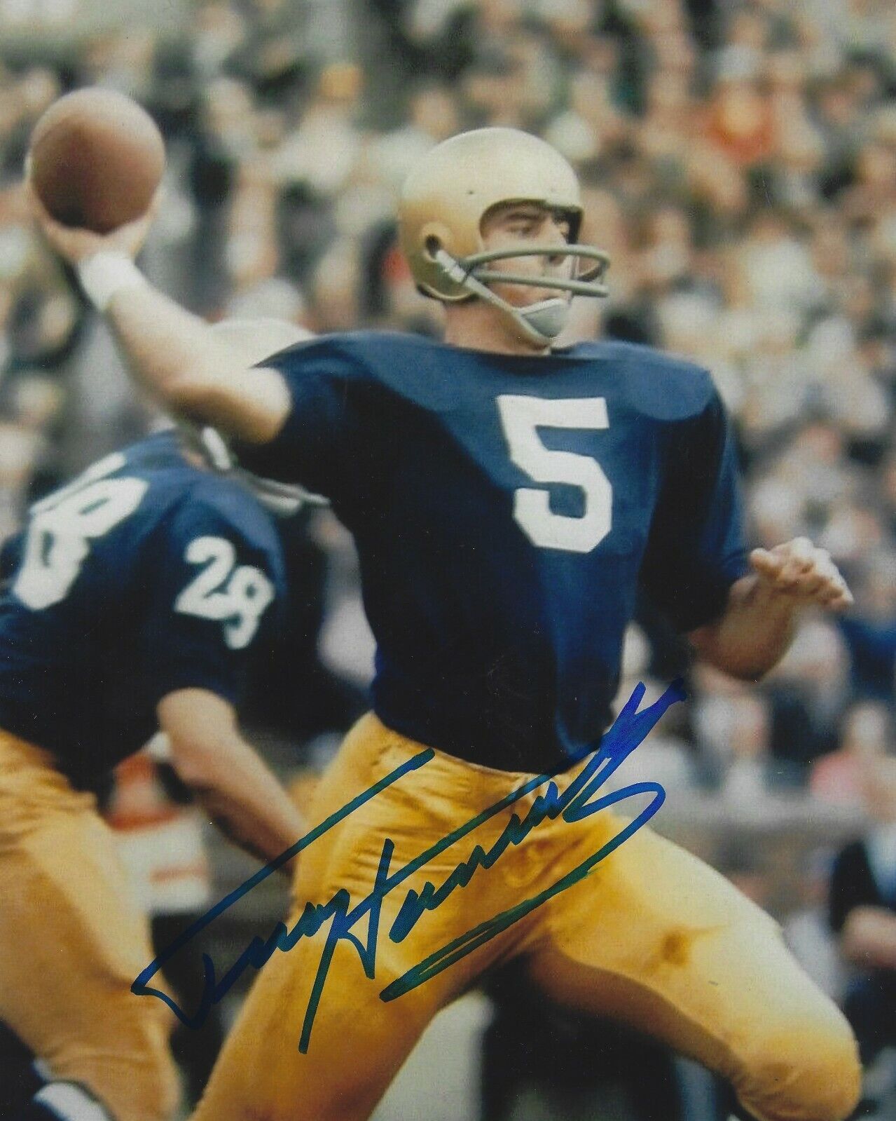 Autographed Terry Hanratty University of Notre Dame 8x10 Photo Poster painting - w/Show ticket