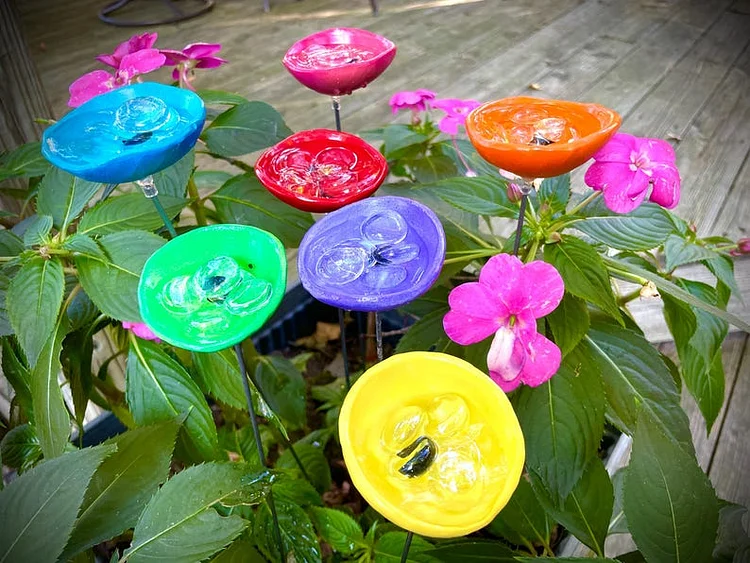 Insect Drinking Cups