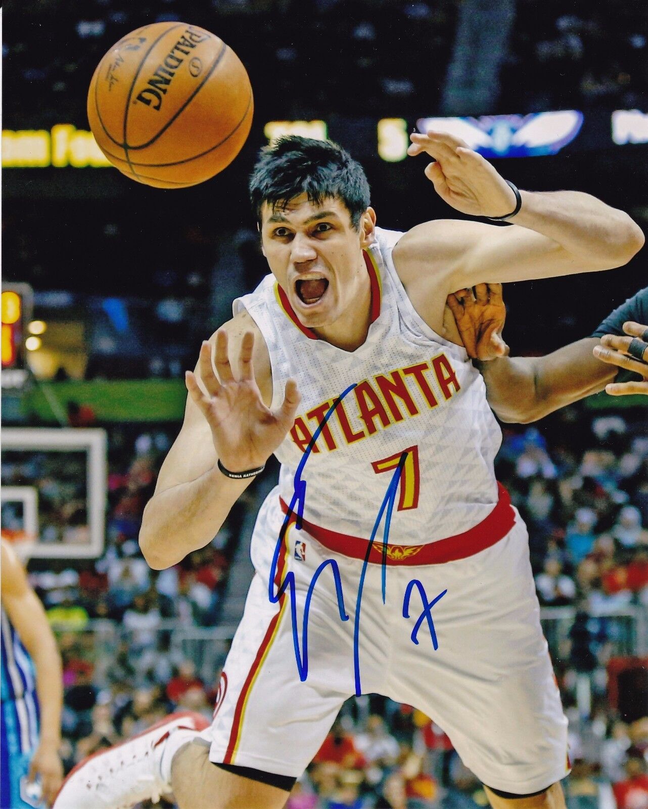 Ersan Ilyasova autographed 8x10 Atlanta Hawks #2  Shipping