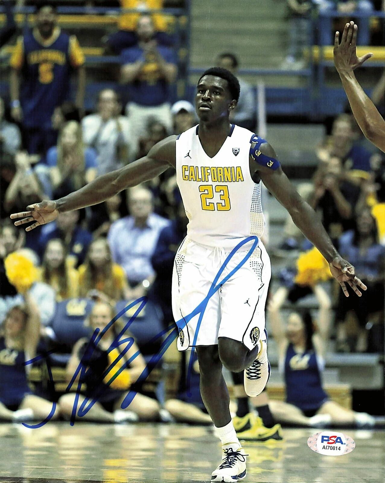 Jabari Bird signed 8x10 Photo Poster painting PSA/DNA Cal Bears Autographed