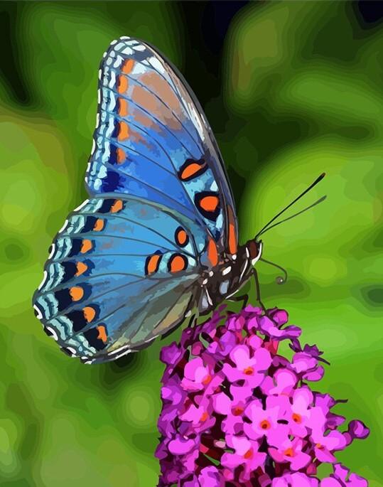 

Butterfly Flowers – Paint By Numbers - 40*50CM, 501 Original