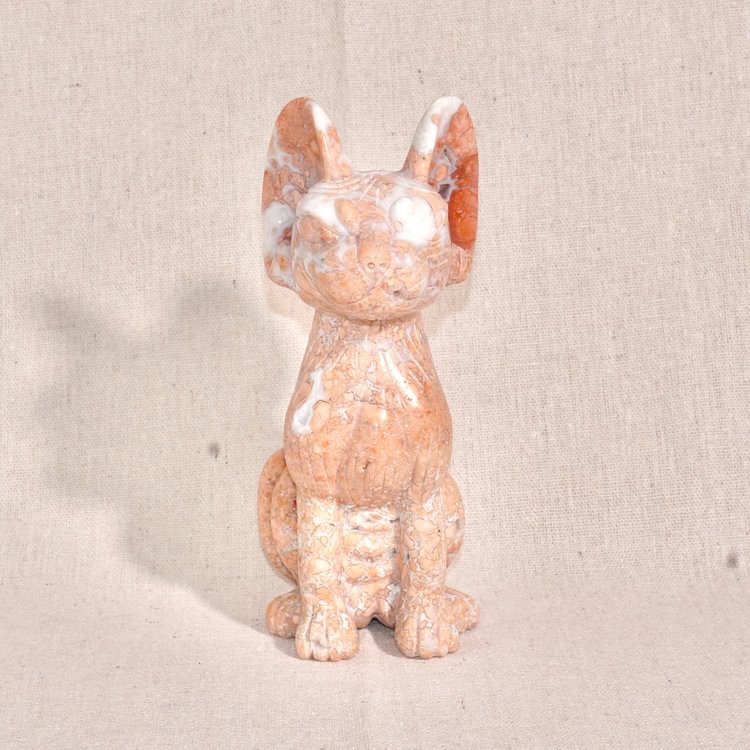 Petal Agate Sphynx Cat