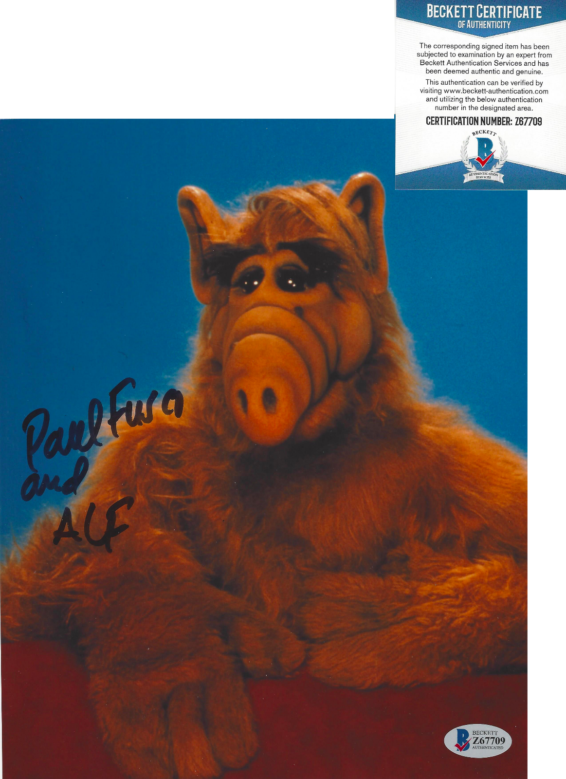 PAUL FUSCO SIGNED ALF CREATOR & PUPPETEER 8x10 SHOW Photo Poster painting BECKETT COA BAS