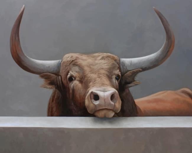 

Toro Walter Zuluaga – Paint By Numbers - 40*50CM, 501 Original