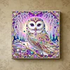 Framed Diamond Painting - Special Shaped - Owl (25x25cm)